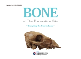BONE at The Excavation Site - Everything You Need to Know(알아야 할 모든 것 : 뼈)
