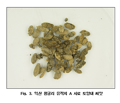 (Fig. 3) 이미지