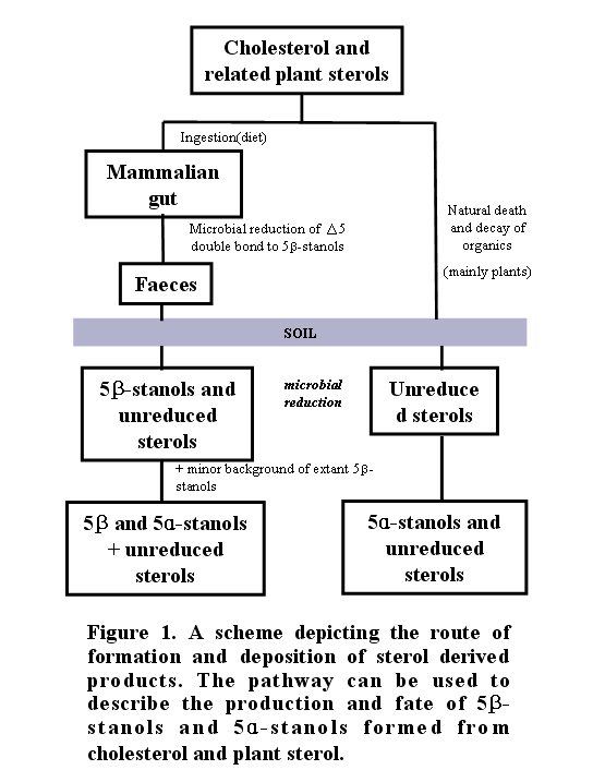 Figure 1 이미지