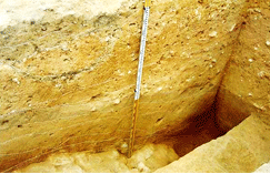 Soil layer of east wall image