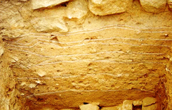 Soil layer of west wall image