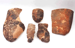 Earthenware excavated from shell mounds in Moido Island in the west coastal region image