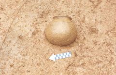 Exposed view of small long-necked jar image