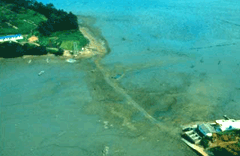 Water’s edge between Jangdo Island and inland image