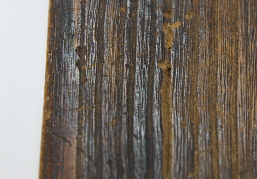 뒤표지의 충해 결손부위