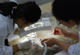 보존처리 전 상태 조사 및 사진 촬영