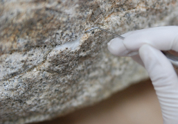 보존처리 전 상태 조사 및 사진 촬영