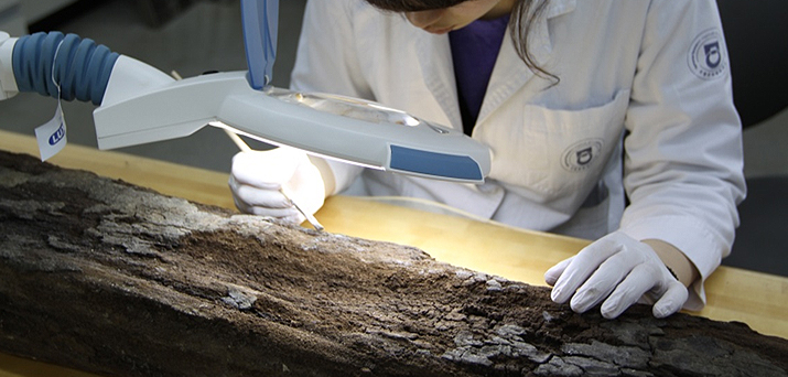 이물질 제거(세척)