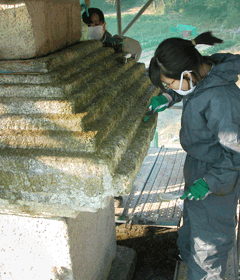 Wet cleaning 2
