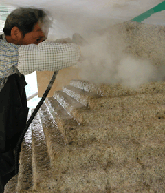 Steam cleaning
