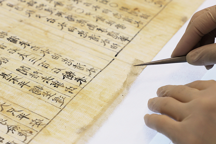 Conservation Science