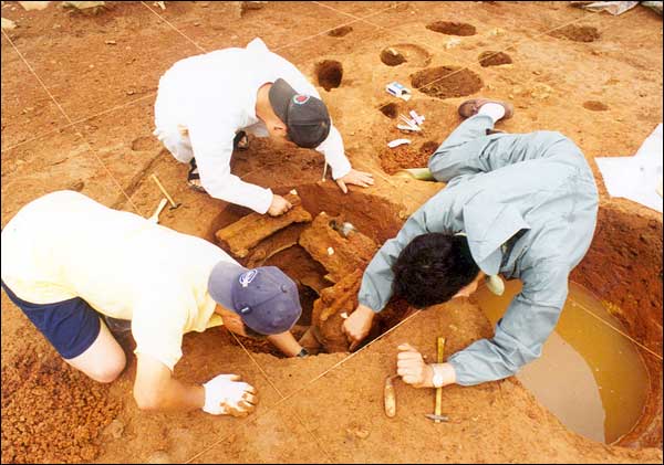 매납유구 발굴조사 광경