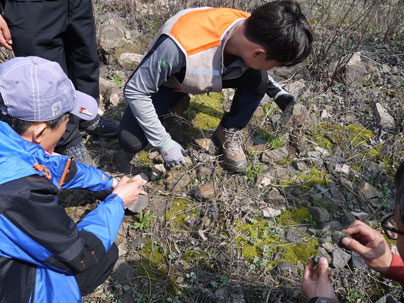 충주 만정광산 주변 철광석 조사