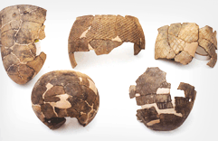 Earthenware excavated from shell mounds in Soyeonpyeongdo Island in the west coastal region image