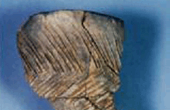 Comb-patterned earthenware excavated at the shell mound image