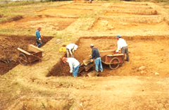 View of excavation site south of the shrine image