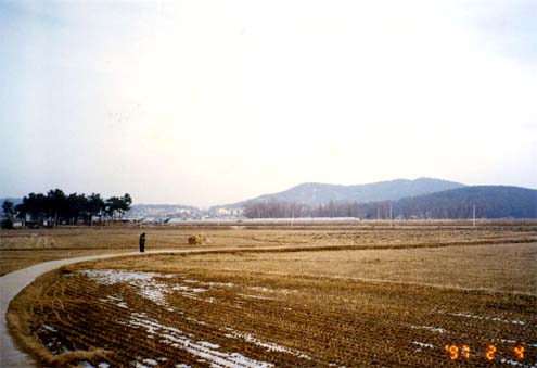 화지산일대 유적지표조사 이미지 입니다.