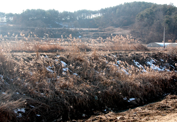 밤골사지 시굴조사 대상지역 이미지 입니다.