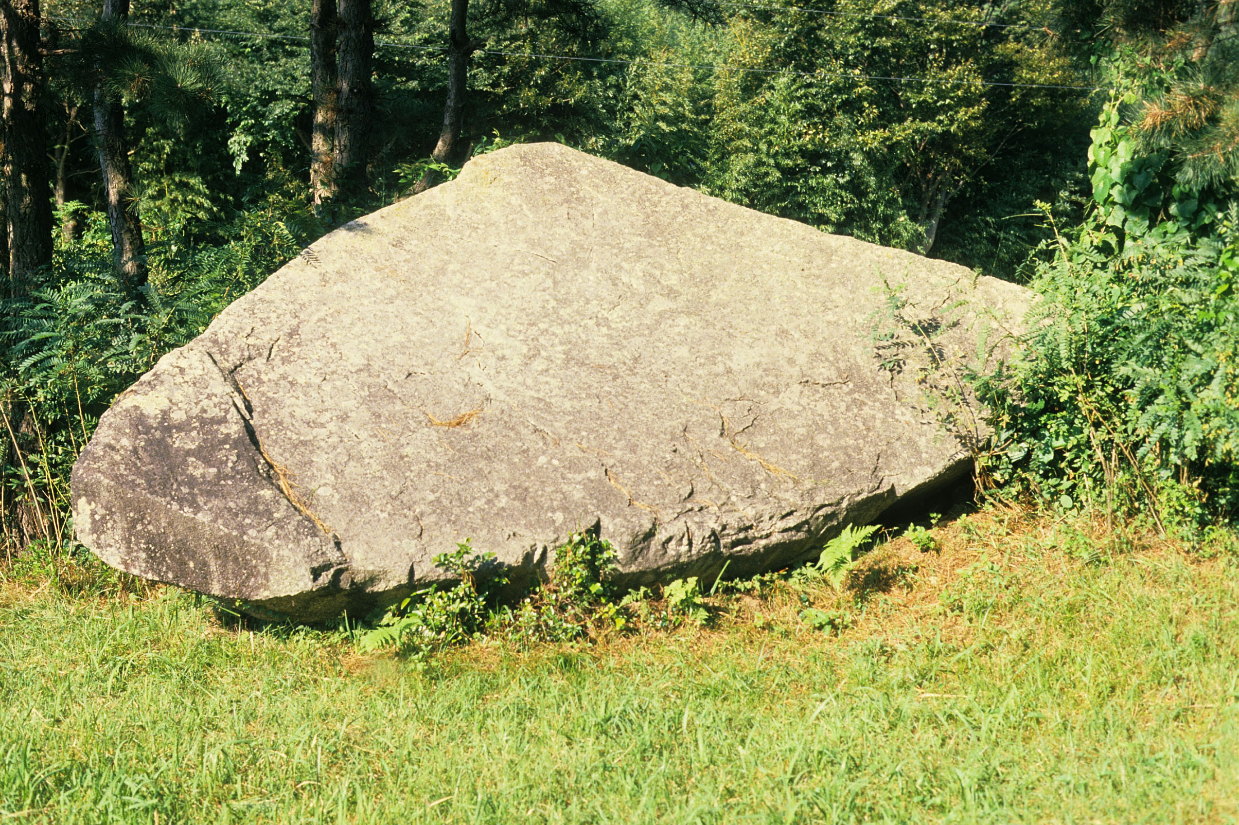 학산 상월리 지석묘군(鶴山 上月里 支石墓群)① 이미지 입니다.