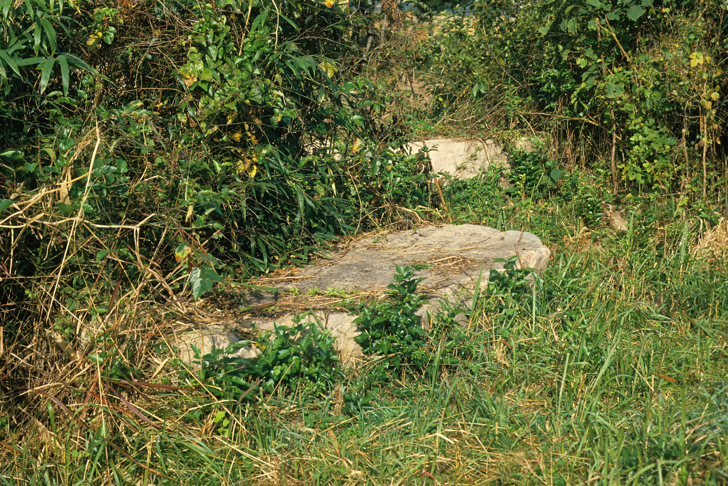 학산 상월리 지석묘군(鶴山 上月里 支石墓群)② 이미지 입니다.